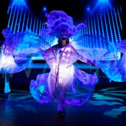 Световое шоу на свадьбу Световое шоу на свадьбу