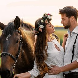 Предложение на лошади Предложение на лошади