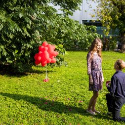 Организация предложения руки на природе Организация предложения руки на природе
